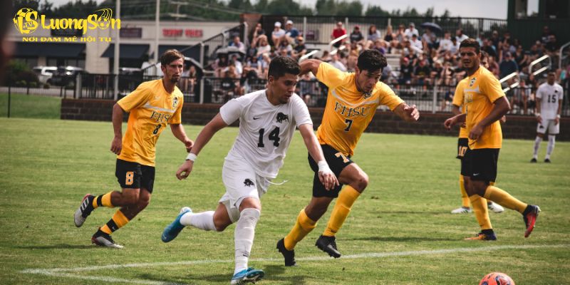 Tầm quan trọng của việc theo dõi bảng xếp hạng bóng đá